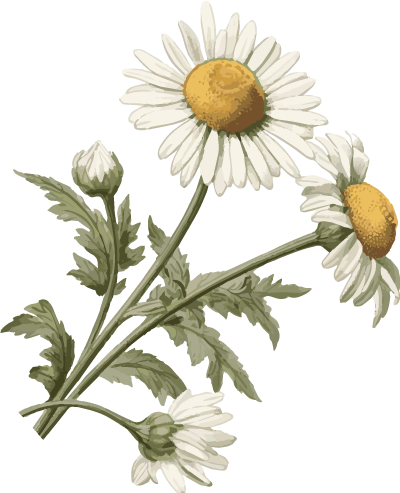 点点赢 黄金突破3300！以色列突袭伊朗核设施引爆避险，美联储降息预期火上浇油