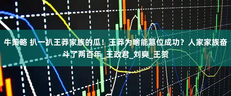 牛策略 扒一扒王莽家族的瓜！王莽为啥能篡位成功？人家家族奋斗了两百年_王政君_刘奭_王贺